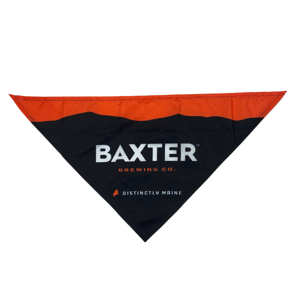Small Pet Bandana